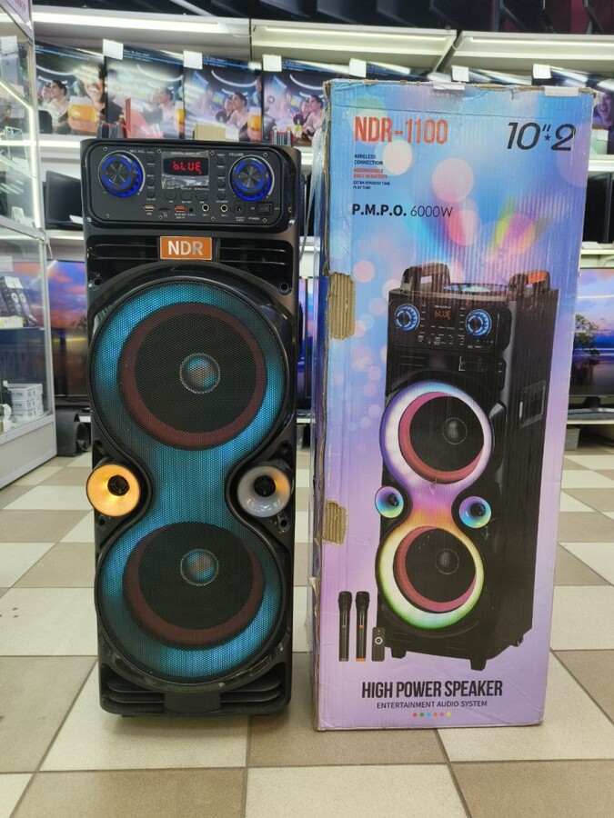 Акустика NDR-1100 c микрофонами