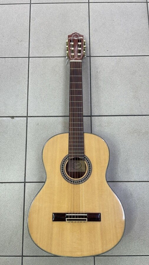 Гитара Vision 50