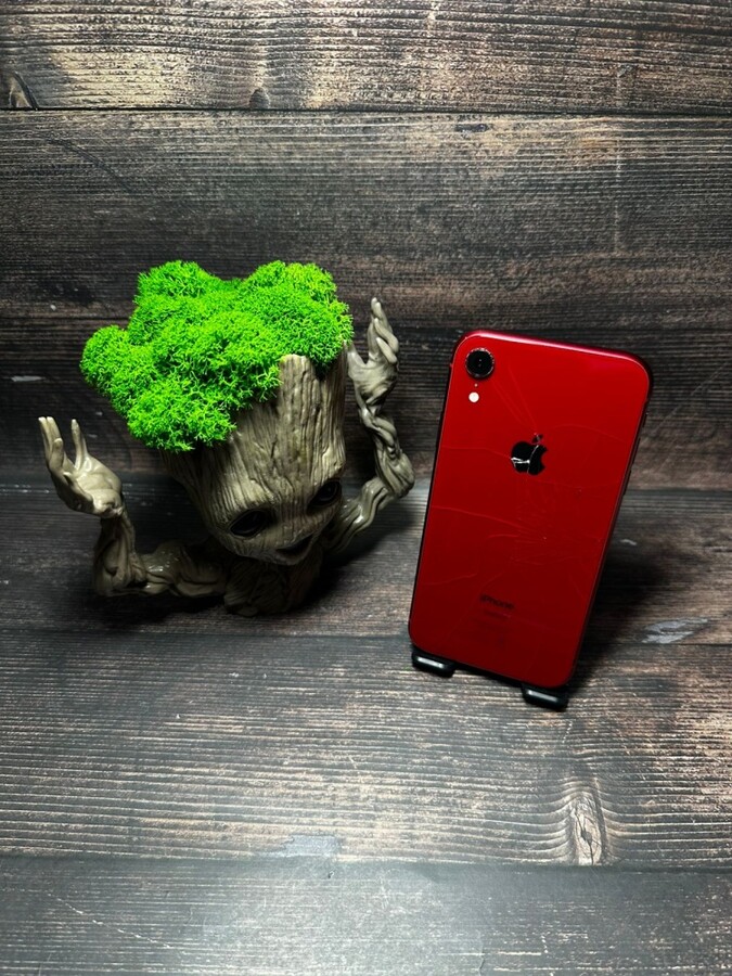 Смартфон iPhone XR 64 Gb  100%