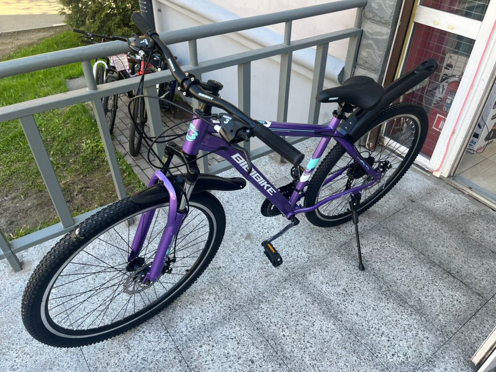 /Велосипед Bibi Bike 29* фиолет