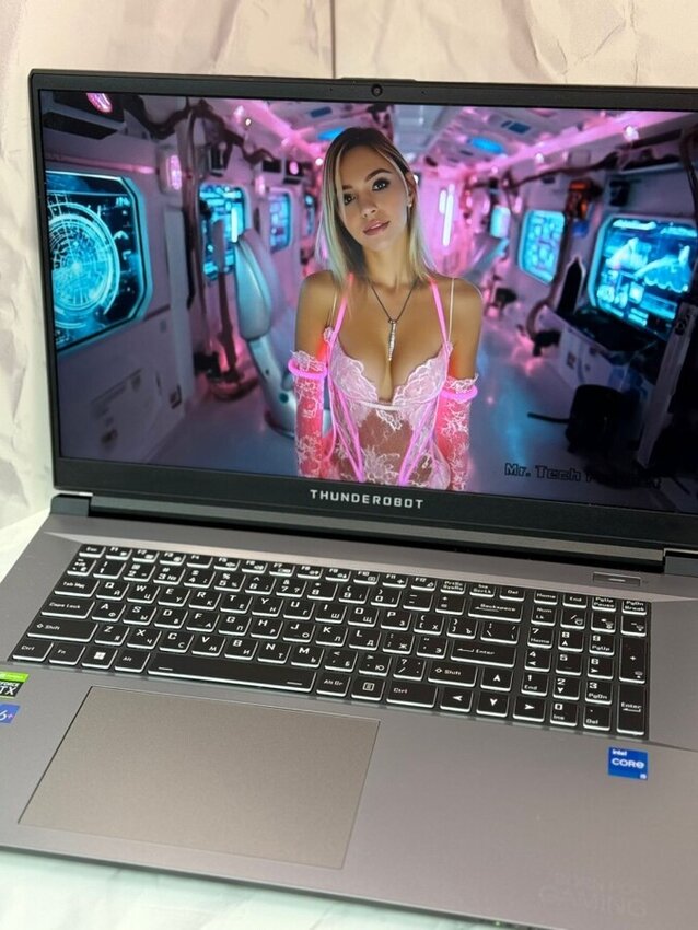 Ноутбук Thunderobot 911 plus x