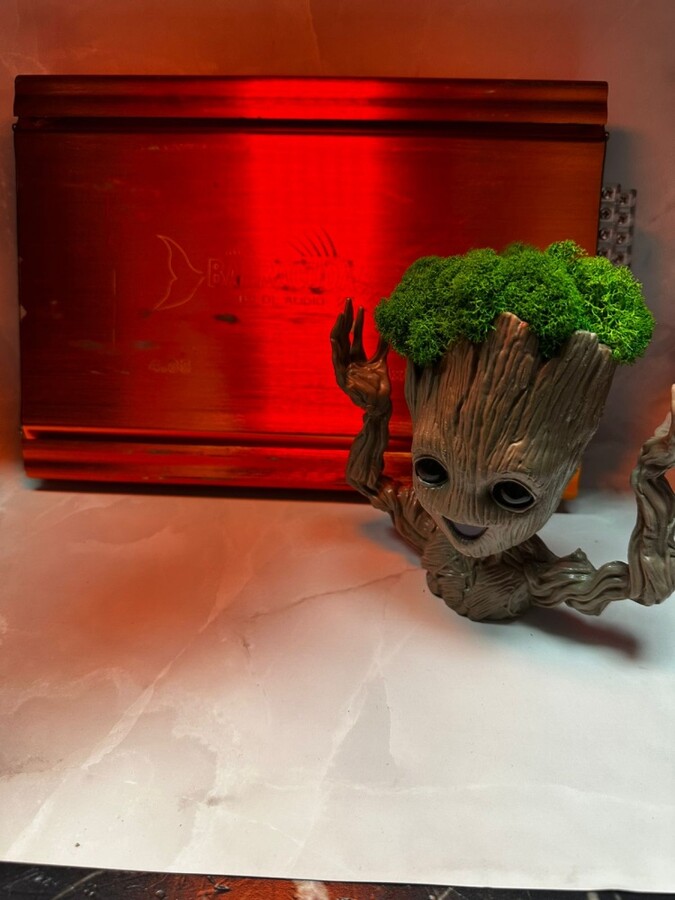 Автоусилитель Barracuda 4/.85w