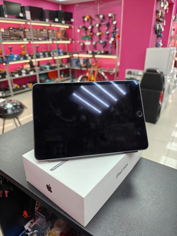 Планшет Apple iPad Mini 5 256